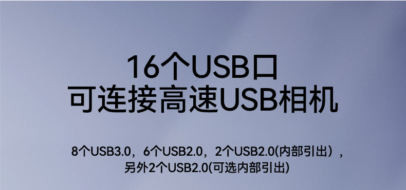 飛騰騰銳D2000國(guó)產(chǎn)化工控機(jī),銀河麒麟/UOS雙系統(tǒng),機(jī)器視覺控制主機(jī),DTB-2102L-FD2KMC2.jpg